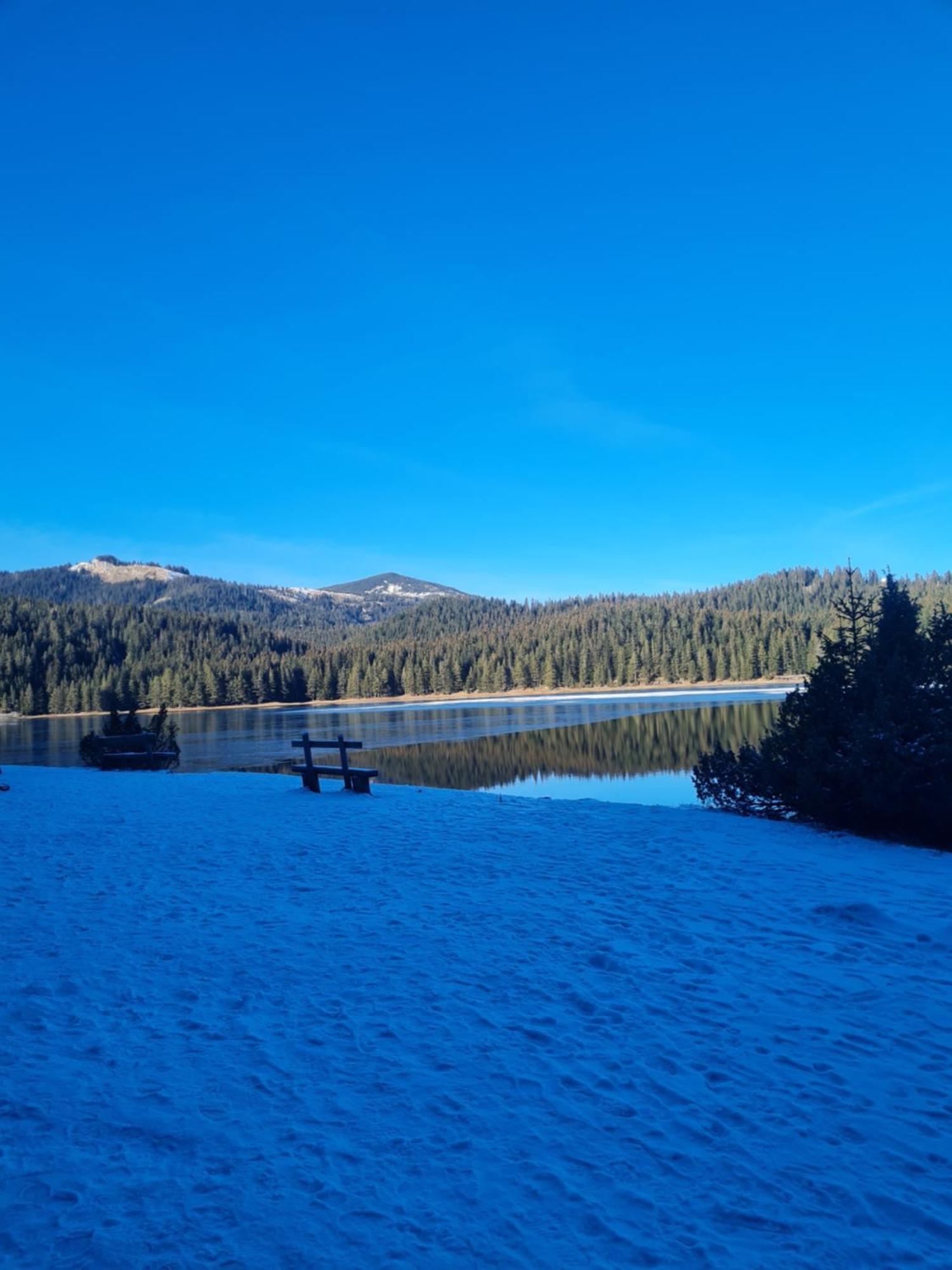 Premium Apartments Zabljak  Bagian luar foto